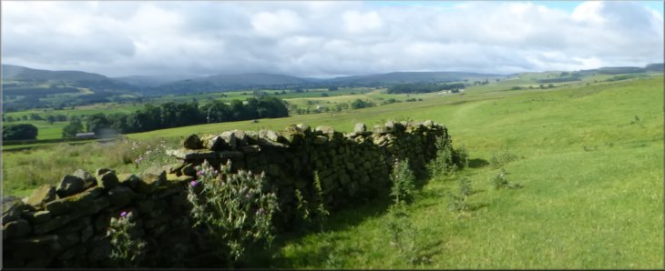 Looking up Wensleydale from the field path near Bolton Castle